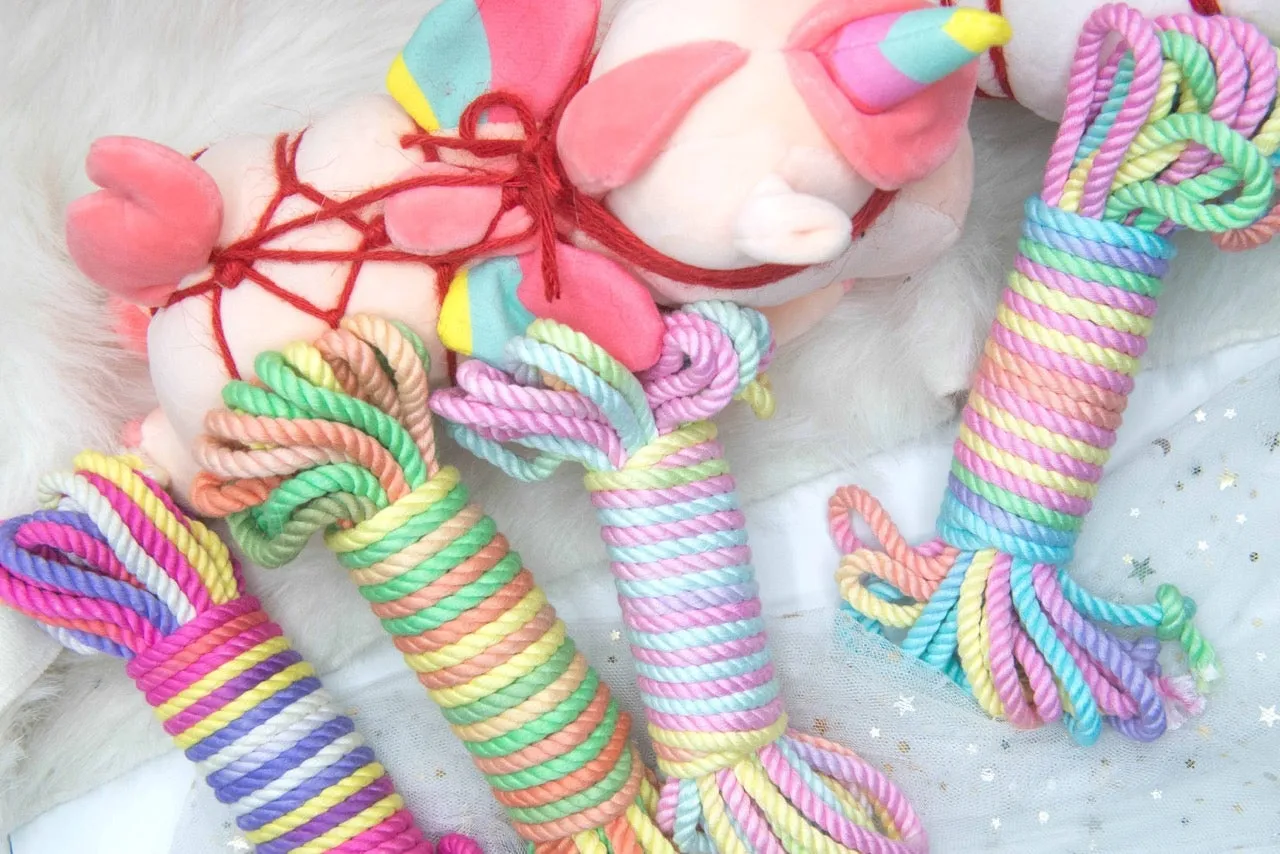 Pride Rainbow Bamboo Shibari Rope