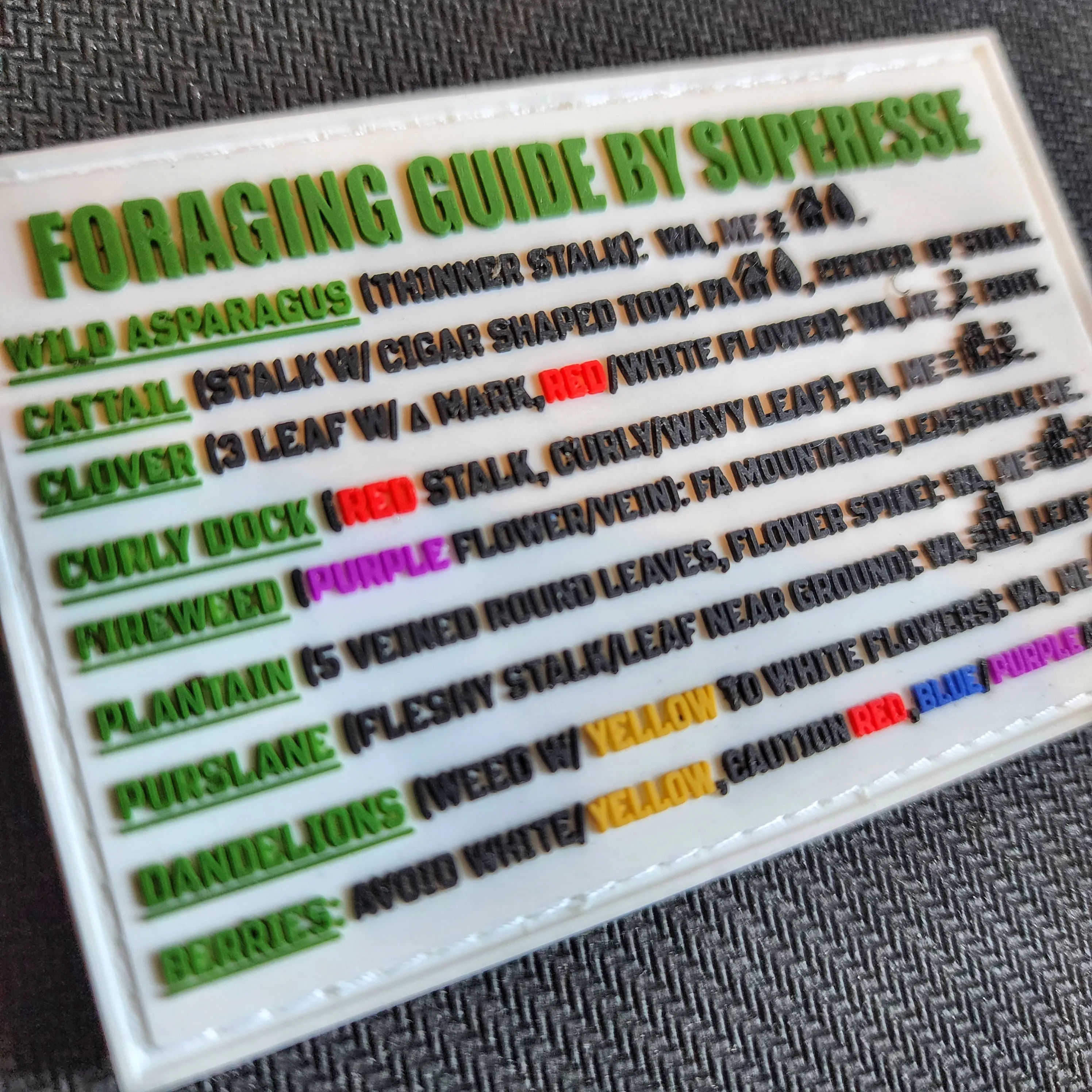 Storage Pocket Patch:  Foraging Guide, a Plants and Edibles Quick Identification Reference