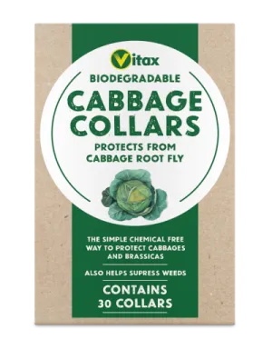 Vitax Cabbage Collars -Pack of 30